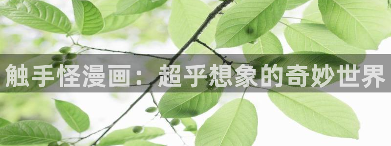 妖姬漫画免费登录入口界面在哪：触手怪漫画：超乎想象的奇妙世界