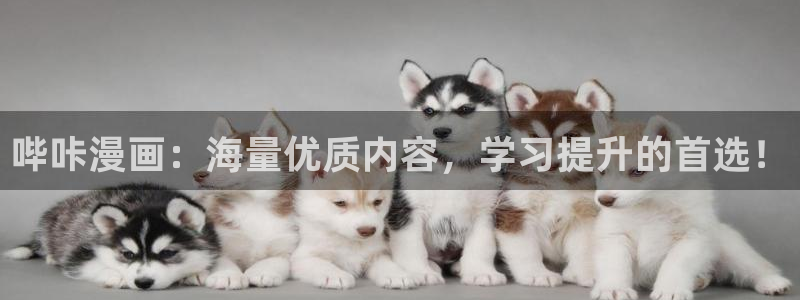 妖姬漫画.：哔咔漫画：海量优质内容，学习提升的首选！
