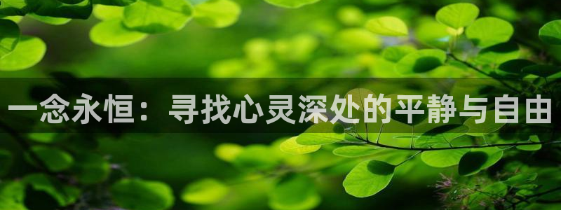 妖姬漫画9.1免费：一念永恒：寻找心灵深处的平静与自由